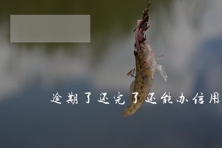 逾期了还完了还能办信用卡吗 逾期了还完了还能办信用卡吗