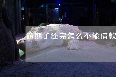 逾期了还完怎么不能借款
