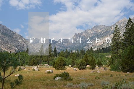 逾期了还有什么网贷 逾期了还有什么网贷