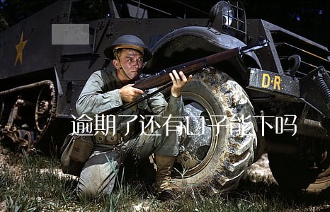 逾期了还有口子能下吗 逾期了还有口子能下吗