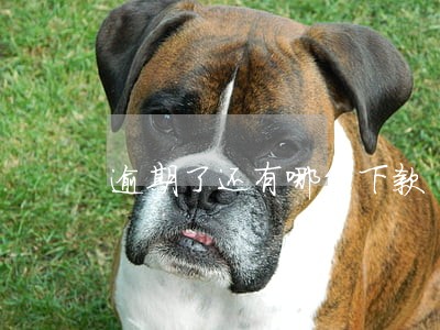 逾期了还有哪能下款 逾期了还有哪能下款