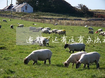 逾期了还有没有办法补救 逾期了还有没有办法补救