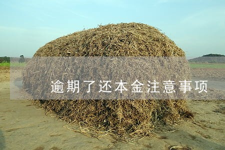 逾期了还本金注意事项 逾期了还本金注意事项