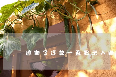 逾期了还款一直显示入账单