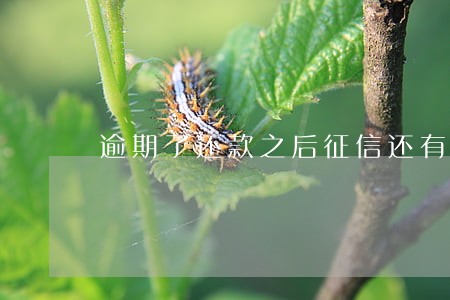 逾期了还款之后征信还有记录吗
