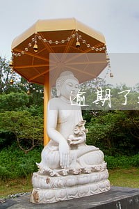 逾期了还款后多久才能再申请 逾期了还款后多久才能再申请