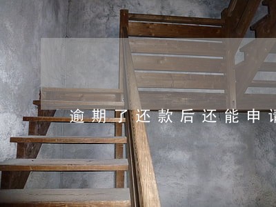 逾期了还款后还能申请信用卡吗