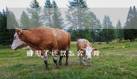 逾期了还款怎么解除 逾期了还款怎么解除