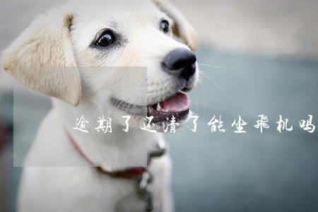 逾期了还清了能坐飞机吗 逾期了还清了能坐飞机吗