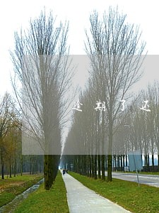 逾期了还清后可以协商不上征信吗 逾期了还清后可以协商不上征信吗