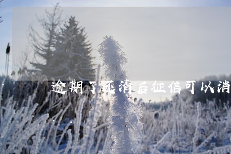 逾期了还清后征信可以消除吗 逾期了还清后征信可以消除吗