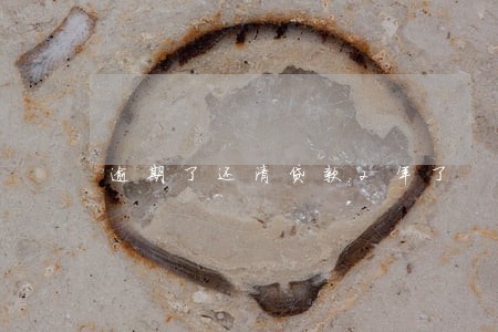 逾期了还清贷款2年了 逾期了还清贷款2年了