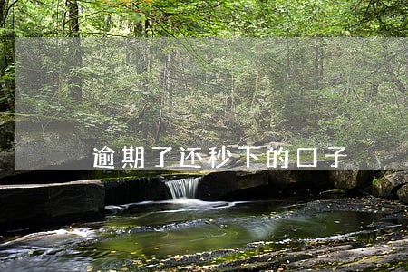 逾期了还秒下的口子