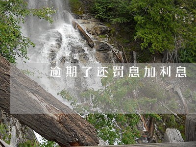 逾期了还罚息加利息