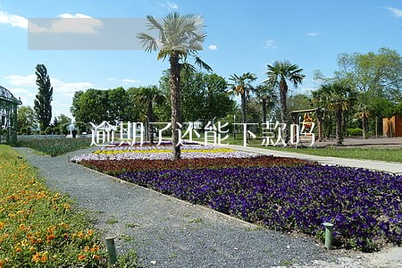 逾期了还能下款吗 逾期了还能下款吗