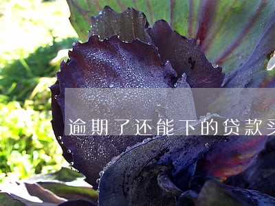 逾期了还能下的贷款买房 逾期了还能下的贷款买房