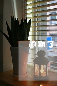 逾期了还能从中邮消费 逾期了还能从中邮消费