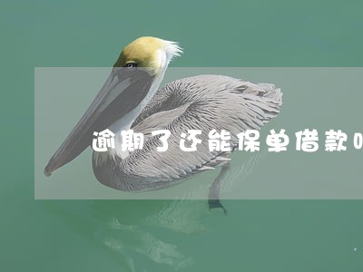 逾期了还能保单借款吗 逾期了还能保单借款吗