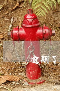 逾期了还能借信用卡吗