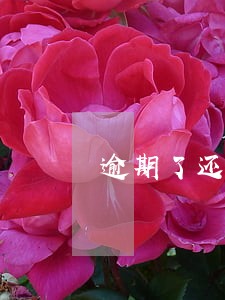 逾期了还能借的贷款有哪些 逾期了还能借的贷款有哪些