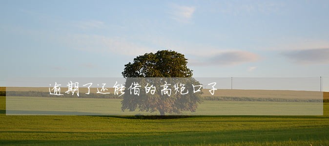 逾期了还能借的高炮口子 逾期了还能借的高炮口子