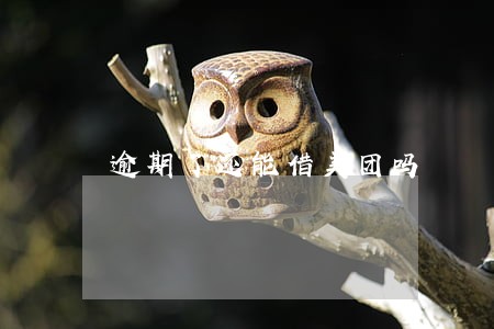 逾期了还能借美团吗 逾期了还能借美团吗