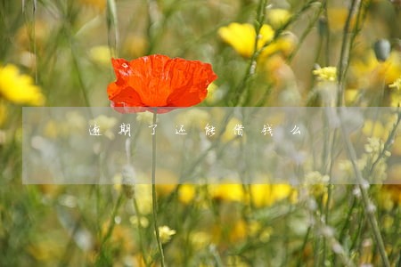 逾期了还能借钱么 逾期了还能借钱么