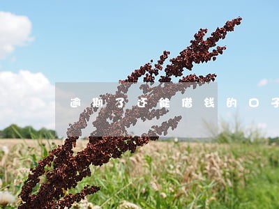 逾期了还能借钱的口子 逾期了还能借钱的口子