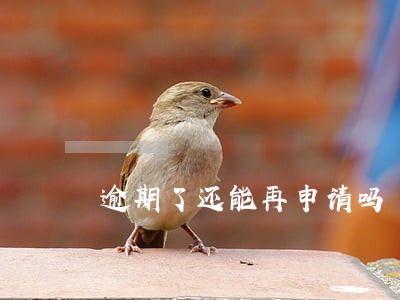 逾期了还能再申请吗 逾期了还能再申请吗