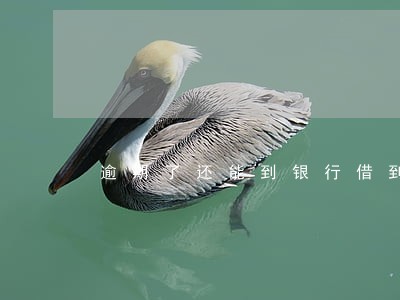 逾期了还能到银行借到钱吗
