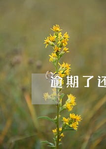 逾期了还能办理冲还贷吗 逾期了还能办理冲还贷吗