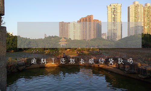 逾期了还能去银行贷款吗 逾期了还能去银行贷款吗