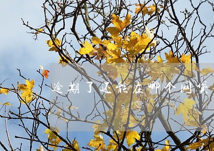逾期了还能在哪个网贷借款 逾期了还能在哪个网贷借款