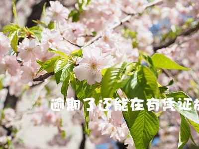 逾期了还能在有凭证放款么