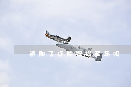 逾期了还能按揭买车吗 逾期了还能按揭买车吗