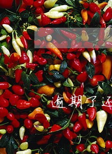 逾期了还能有什么软件借款 逾期了还能有什么软件借款