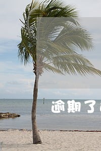 逾期了还能注册公司吗 逾期了还能注册公司吗