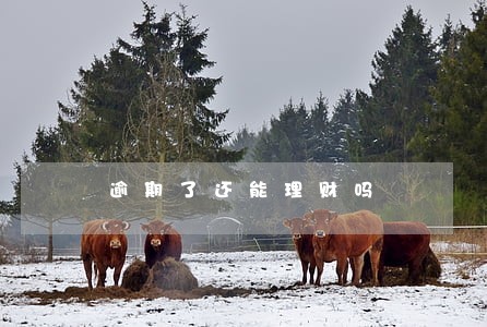 逾期了还能理财吗 逾期了还能理财吗