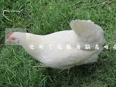逾期了还能用额度吗花呗