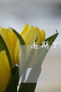 逾期了还能申请什么贷款 逾期了还能申请什么贷款