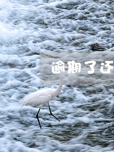 逾期了还能申请卡吗