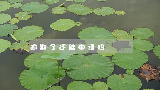 逾期了还能申请吗 逾期了还能申请吗