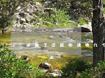 逾期了还能申请哪几个网贷 逾期了还能申请哪几个网贷