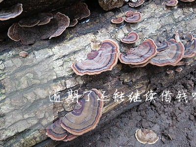 逾期了还能继续借钱吗 逾期了还能继续借钱吗