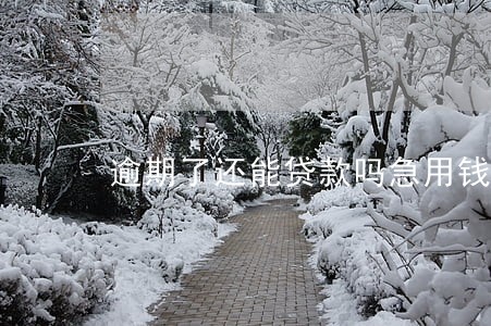 逾期了还能贷款吗急用钱