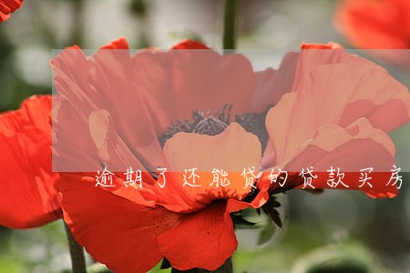 逾期了还能贷的贷款买房吗 逾期了还能贷的贷款买房吗