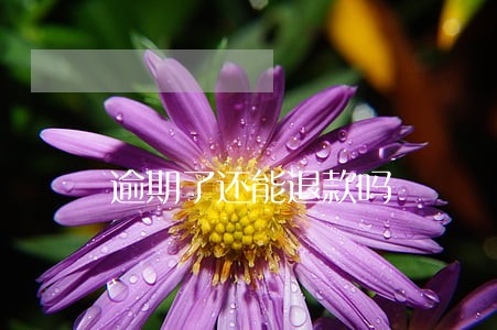 逾期了还能退款吗 逾期了还能退款吗
