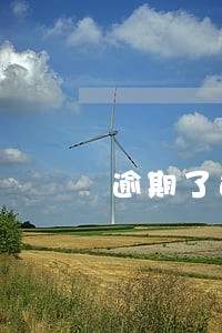 逾期了还花呗额度 逾期了还花呗额度
