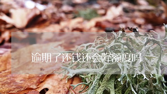 逾期了还钱还会降额度吗 逾期了还钱还会降额度吗
