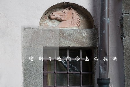 逾期了违约金怎么取消